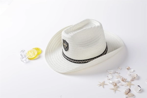 Detail of white straw cowboy hat with black ribbon and crest next to summer beach props