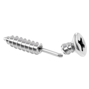 Unique stainless steel screw stud earrings with punk industrial style and screw head closure
