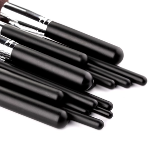 Macro shot of 15 makeup brushes with black matte handles and silver ferrules on white