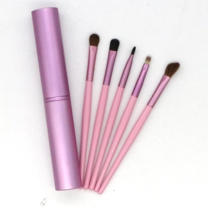 Detailed set of 5 pink eye makeup brushes with horse hair and matching storage case