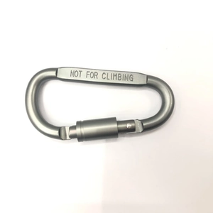 Close-up of gunmetal D-ring carabiner showing the NOT FOR CLIMBING warning engraving