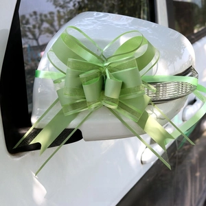 Fiocco in tulle verde chiaro montato su specchietto auto bianco per nozze eleganti