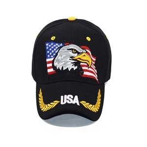 Zwarte baseballpet met USA adelaar borduursel en vlagmotief op een witte achtergrond
