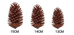 Three natural brown pine cones in sizes 13cm, 14cm, and 15cm for Christmas DIY decor