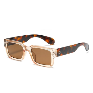 Lunettes de soleil carrées à monture champagne avec branches tortue et rivets métal