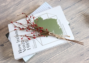 Detail of red artificial berry vine tied with jute rope on white book background