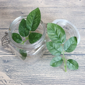 Artificial rose leaves inside a square glass jar with metal buckle on wooden background