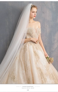 Detailed view of champagne bridal gown with gold embroidery and long white veil