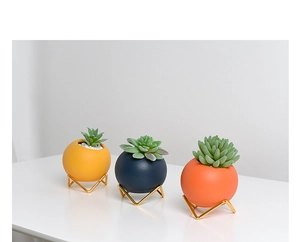 Detailed view of three ceramic succulent pots in yellow, blue and orange with gold stands
