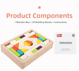 Detail of 30-piece colorful wooden geometric blocks in a storage box with manual