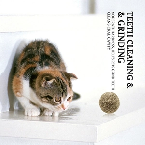 Natural catnip molar ball toy for teeth cleaning with a cat in a minimal white setting