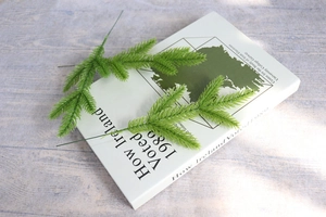 Detailed view of two green artificial pine needles placed on a book for home decor