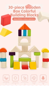 Detailed view of 30pcs colorful wooden building blocks with various geometric shapes