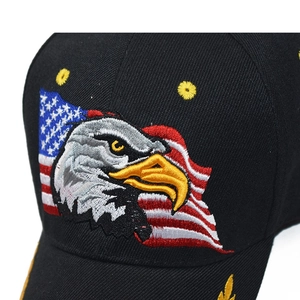 Detailopname van het borduurwerk van de adelaar en Amerikaanse vlag op een zwarte pet