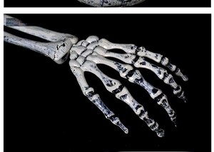 Realistic Halloween skeleton hand stake with vintage bone texture and detailed joints