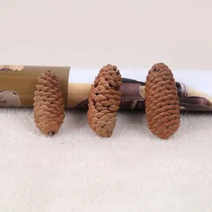 Detailed view of three natural brown pine cones with open scales on a white soft surface