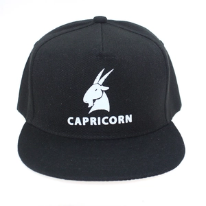 Detailed view of black flat brim baseball cap featuring white Capricorn zodiac embroidery