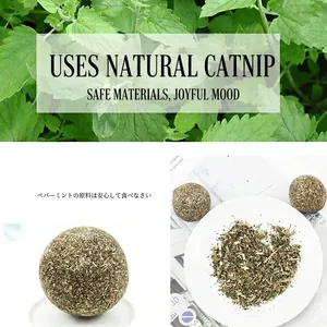 Natural catnip balls for cats made from dried mint leaves for teeth grinding and play