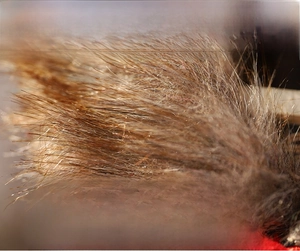 Macro detail of high-quality fluffy imitation raccoon fur trim on Christmas wine bottle covers