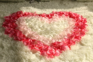 Artificial rose petals arranged in a heart shape on a soft white plush rug