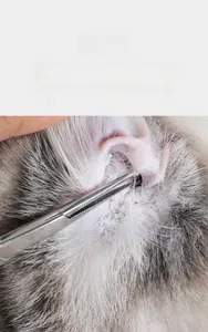 Détail macro d'une pince à poils d'oreilles pour animaux et poudre nettoyante