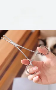 Détail de la pince à poils d'oreilles pour chiens en acier inoxydable avec embout cranté