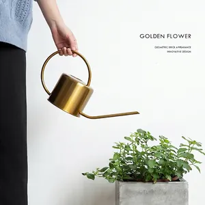 Nordic gold stainless steel watering can with long spout for indoor garden plants