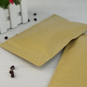 Eco-friendly brown kraft paper self-sealing bags for food packaging and storage