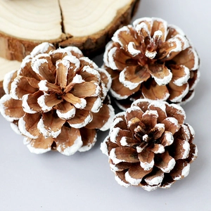 Natural brown pine cones with white frosted tips for rustic winter Christmas decorations