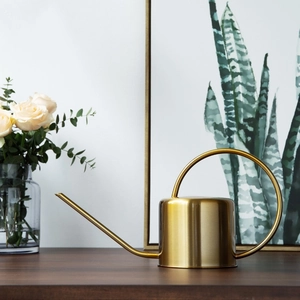 Modern gold stainless steel watering can with long spout on dark wooden table