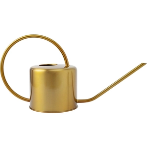 Modern gold stainless steel watering can with a long spout for precise garden plant care