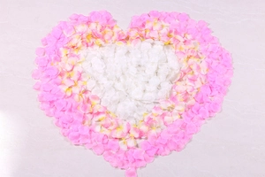 Macro shot of pink and white gradient artificial rose petals arranged in a heart shape