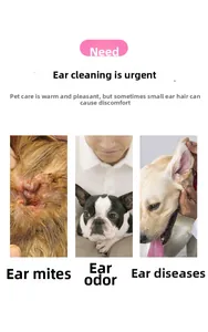Soin des oreilles d'animaux : traitement des acariens, odeurs et prévention maladies