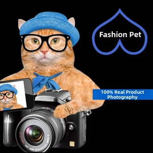 Three-piece pet accessory set with blue hat, glasses, and bow tie on a ginger cat