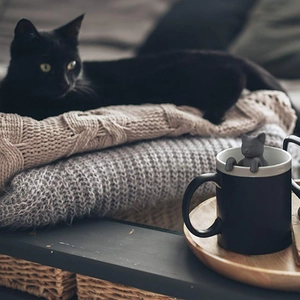 Cat shaped silicone tea infuser in a mug with cozy home background and black cat