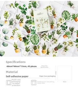 Detail of botanical stickers featuring monstera and cactus designs in a paper box