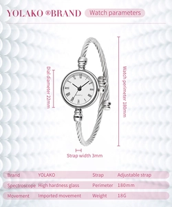 Detailed specs of a women's silver rope quartz watch with 22mm dial and steel band
