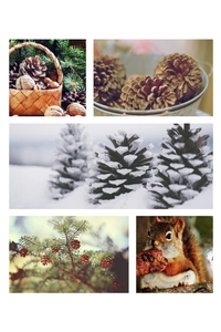 Collage of whitened pine cones in baskets and snowy outdoor Christmas scenes