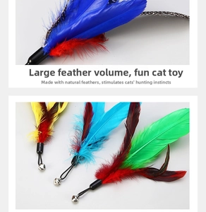 Detailed view of fluffy colorful cat teaser feathers with a small metal bell and clip