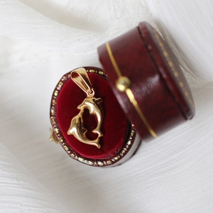 Detailed macro shot of a golden double dolphin pendant in a red velvet jewelry box