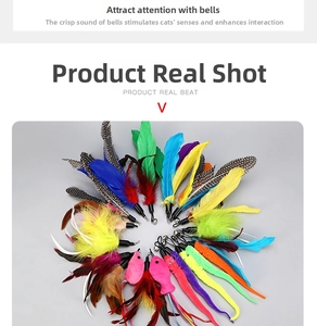 Variety of colorful feather and plush worm cat wand replacements with bells and hooks