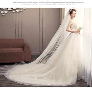 Exquisite close-up of champagne lace floral embroidery and shimmering sequins on bridal gown