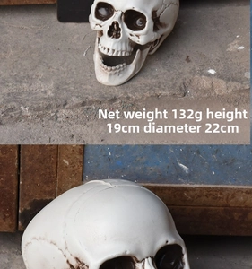 Detailed specs of the realistic Halloween plastic skull toy with 19cm height and 22cm diameter