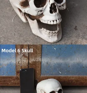 Detail of No. 6 realistic resin skull model with smartphone for size reference