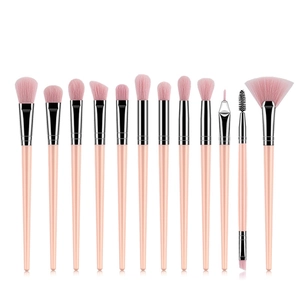 Professional 12-piece pink makeup brush set with silver ferrules on white background