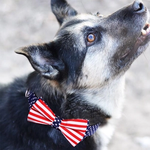 Adjustable pet bow tie collar with American flag stars and stripes pattern for large dogs