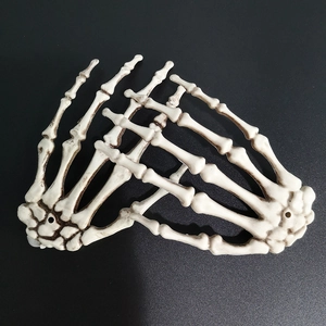 Realistic plastic Halloween skeleton hands in white and brown for spooky party decoration