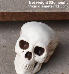 Realistic plastic skull decoration showing dimensions height 11cm and diameter 12.5cm