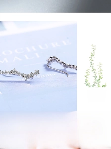 Macro shot of silver star stud earrings with sparkling cubic zirconia on a decorative card