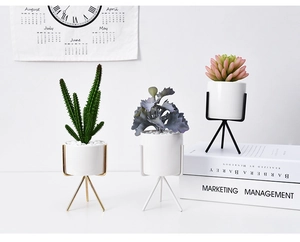 Three Nordic artificial succulents in white ceramic pots with modern metal tripod stands